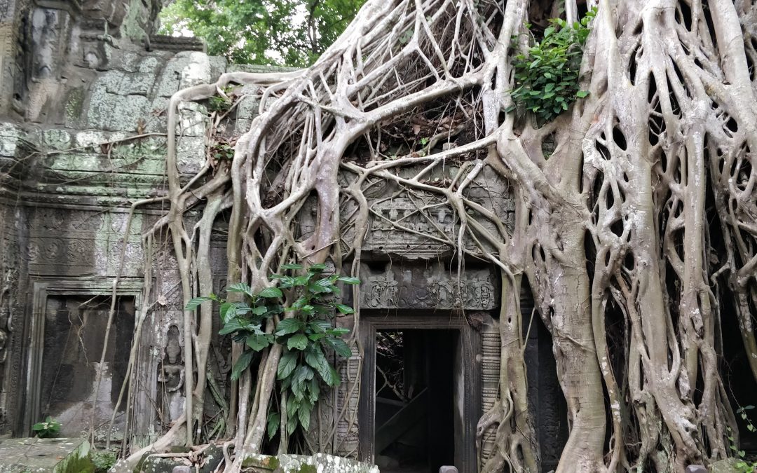 11 Days Custom Tour in the Kingdom of Cambodia